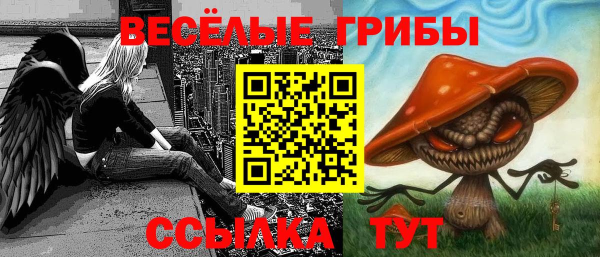 Галлюциногенные грибы мухоморы Зима